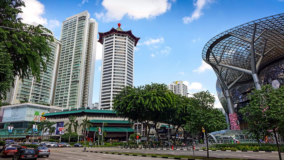Central Orchard neighborhood